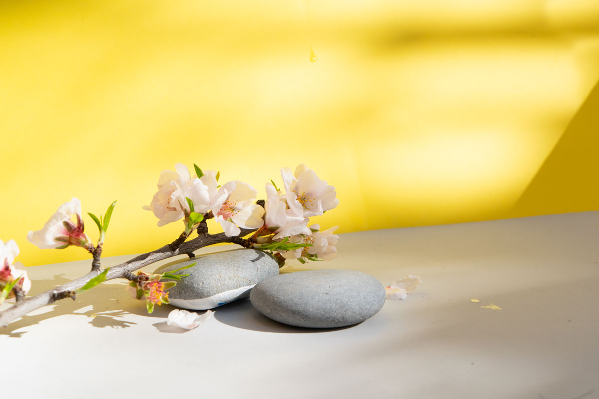 Spring-Stress-Relief-in-Trinity-2026 Spring Stress Relief in Trinity