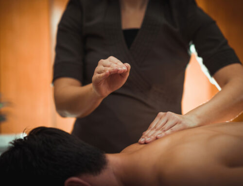 Fall Wellness Massage in Trinity, FL: Prevent Stress Before It Builds This Season